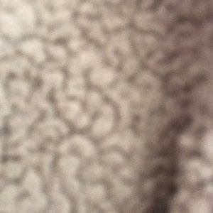 Meet your Posher, Erika